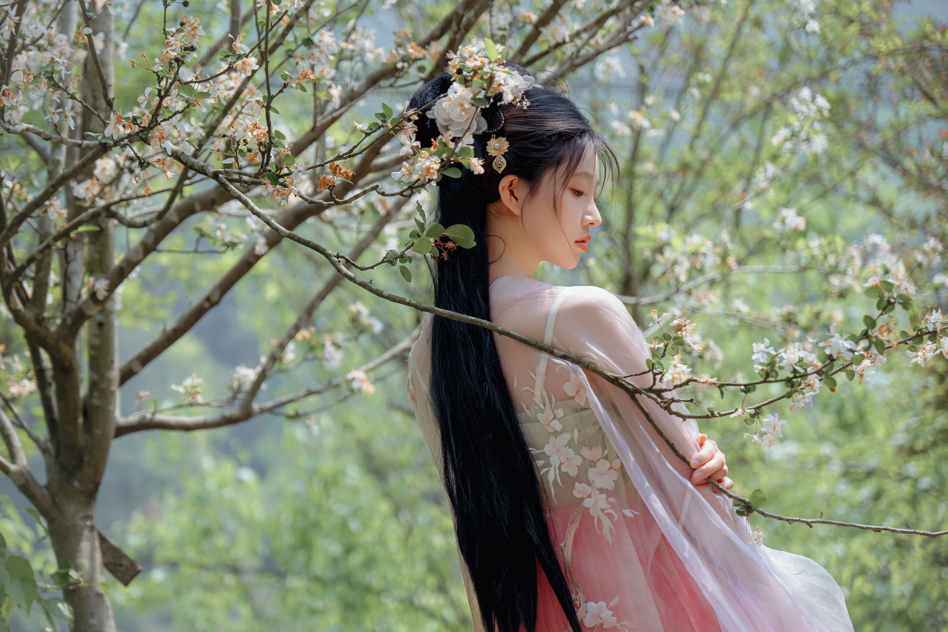 海棠仙，粉红海棠神仙美人