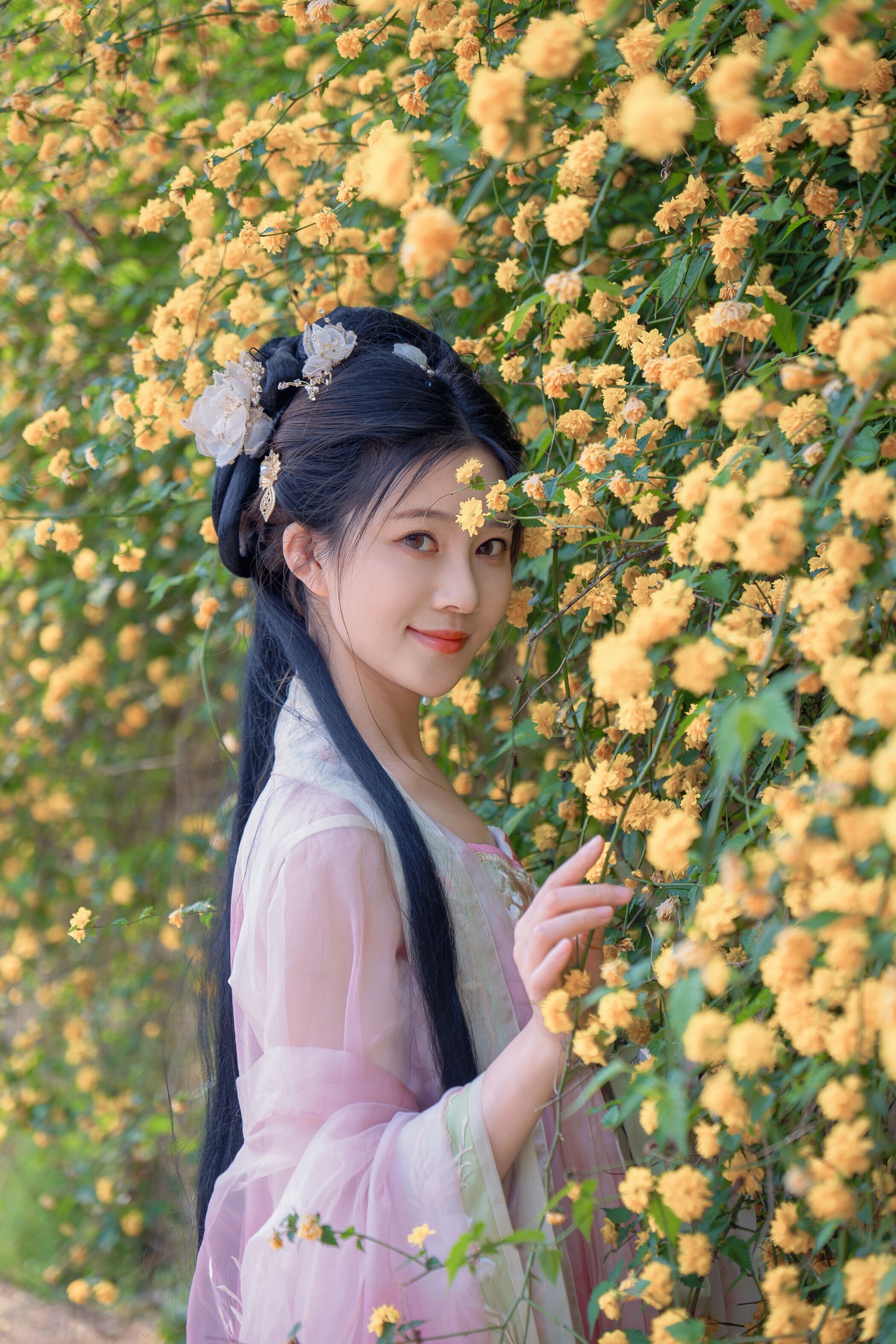 海棠仙，粉红海棠神仙美人