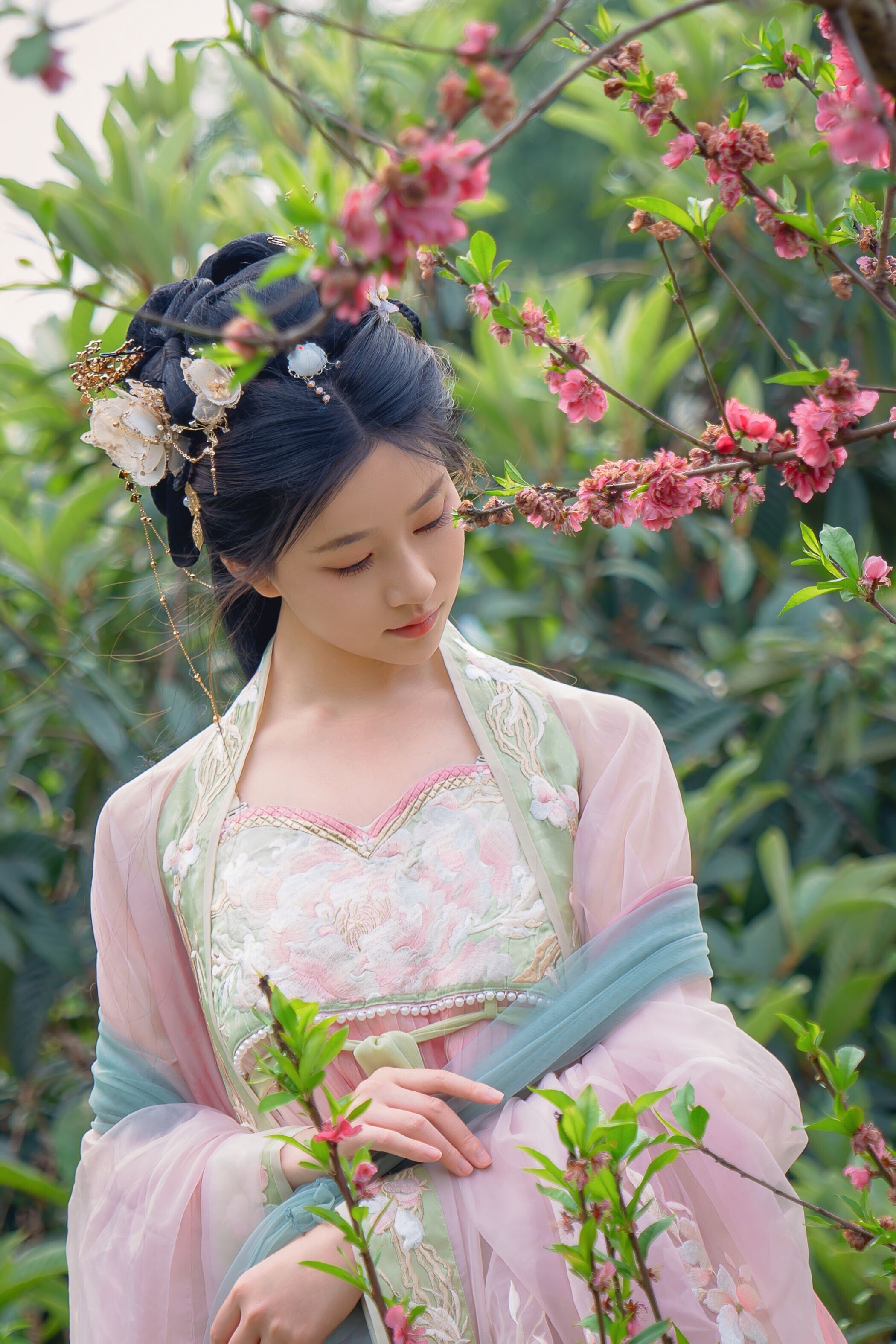海棠仙，粉红海棠神仙美人