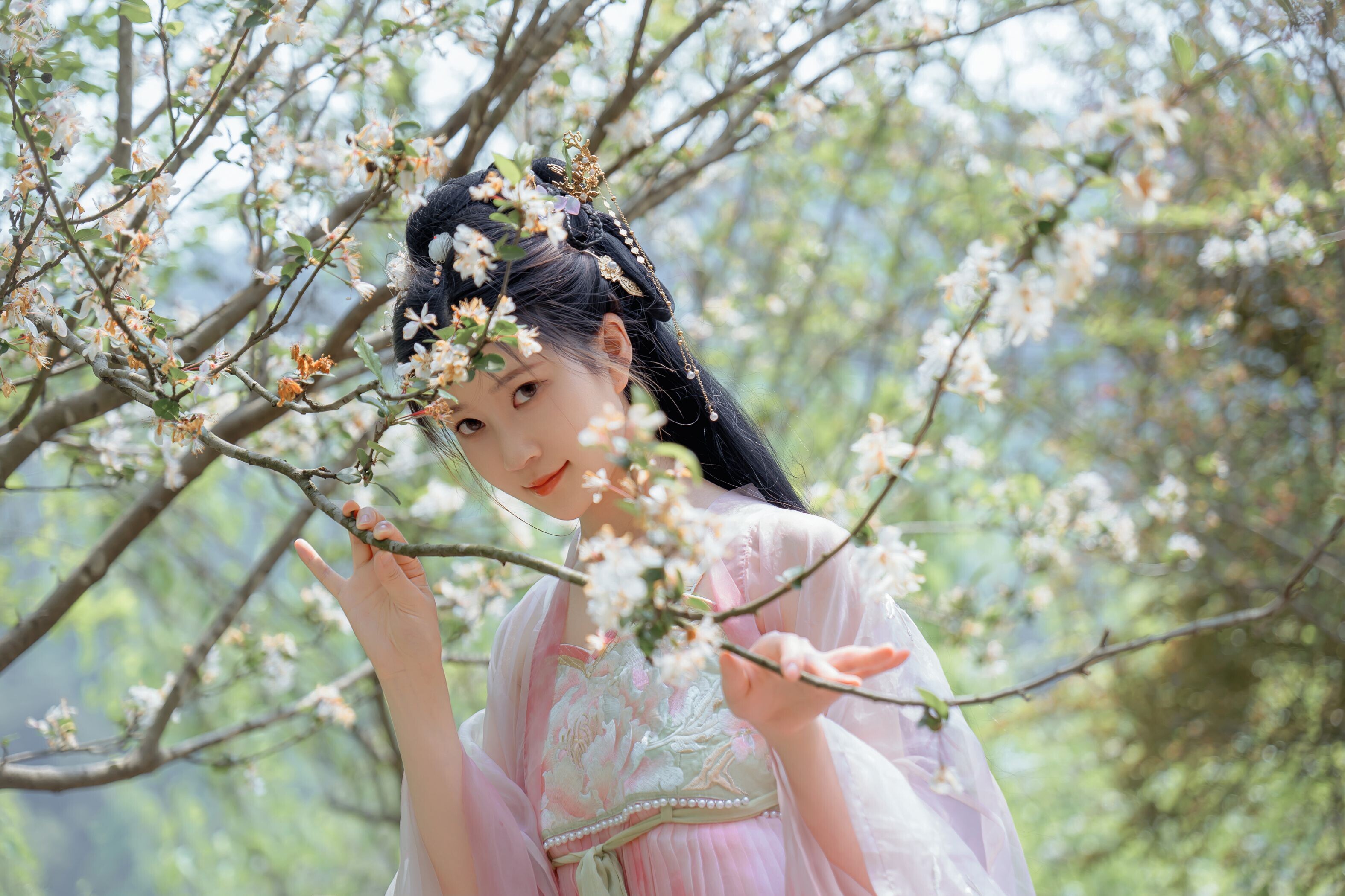 海棠仙，粉红海棠神仙美人