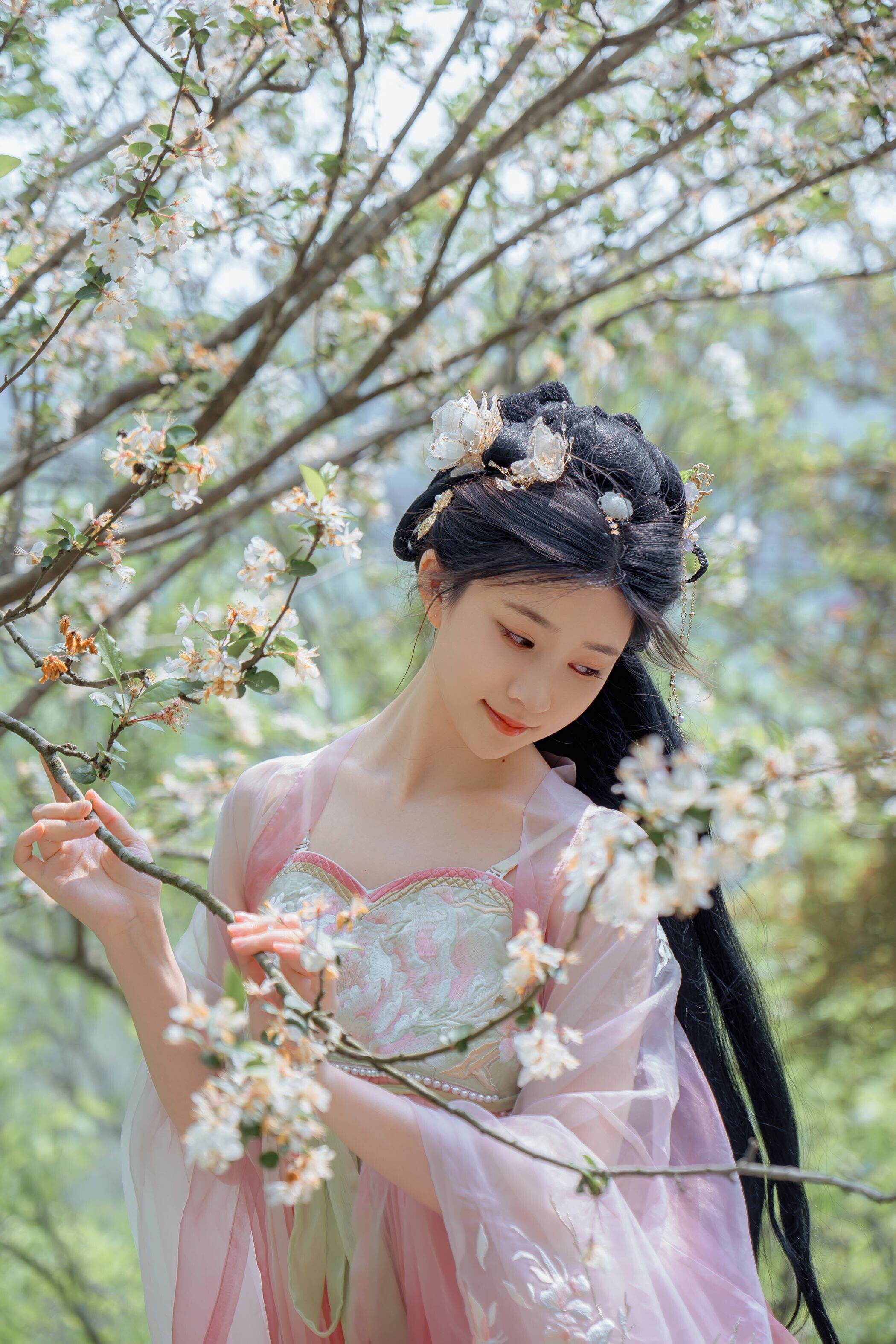 海棠仙，粉红海棠神仙美人