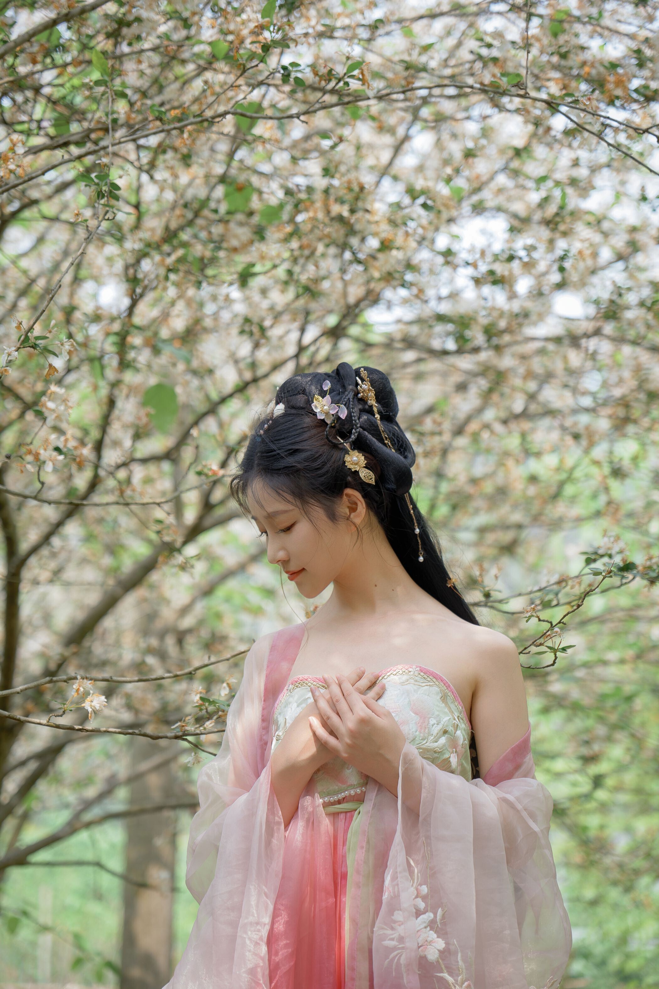海棠仙，粉红海棠神仙美人