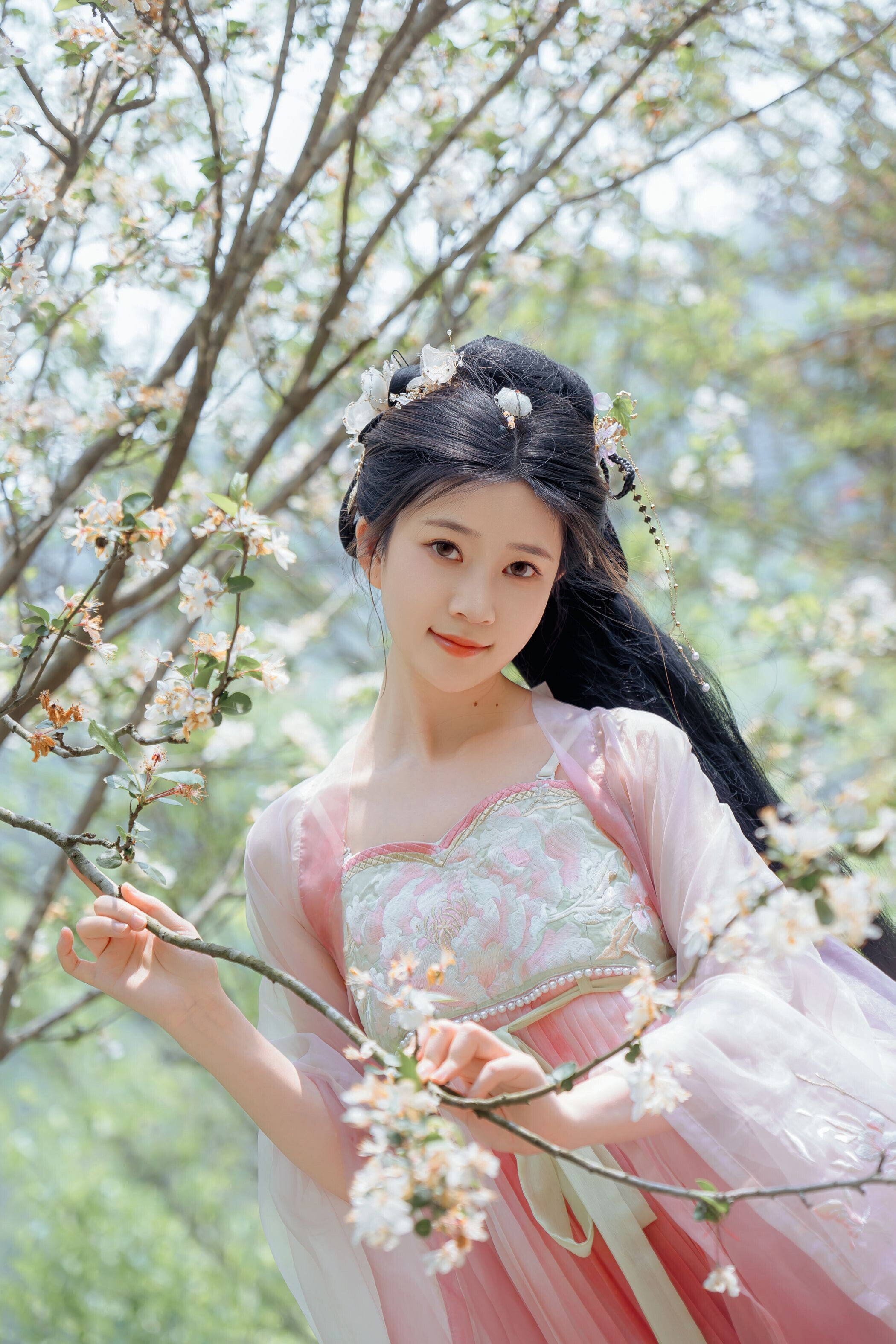 海棠仙，粉红海棠神仙美人