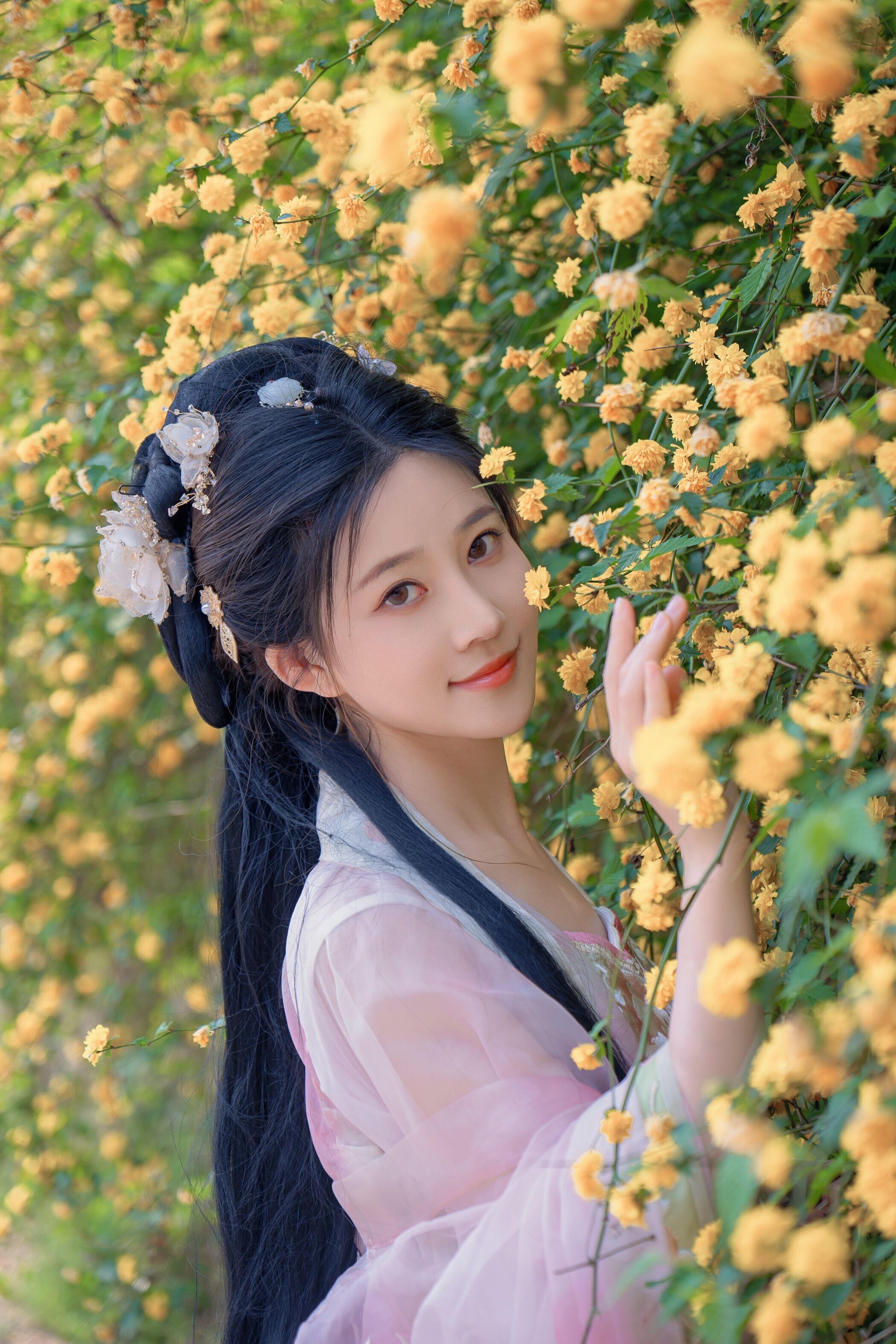 海棠仙，粉红海棠神仙美人