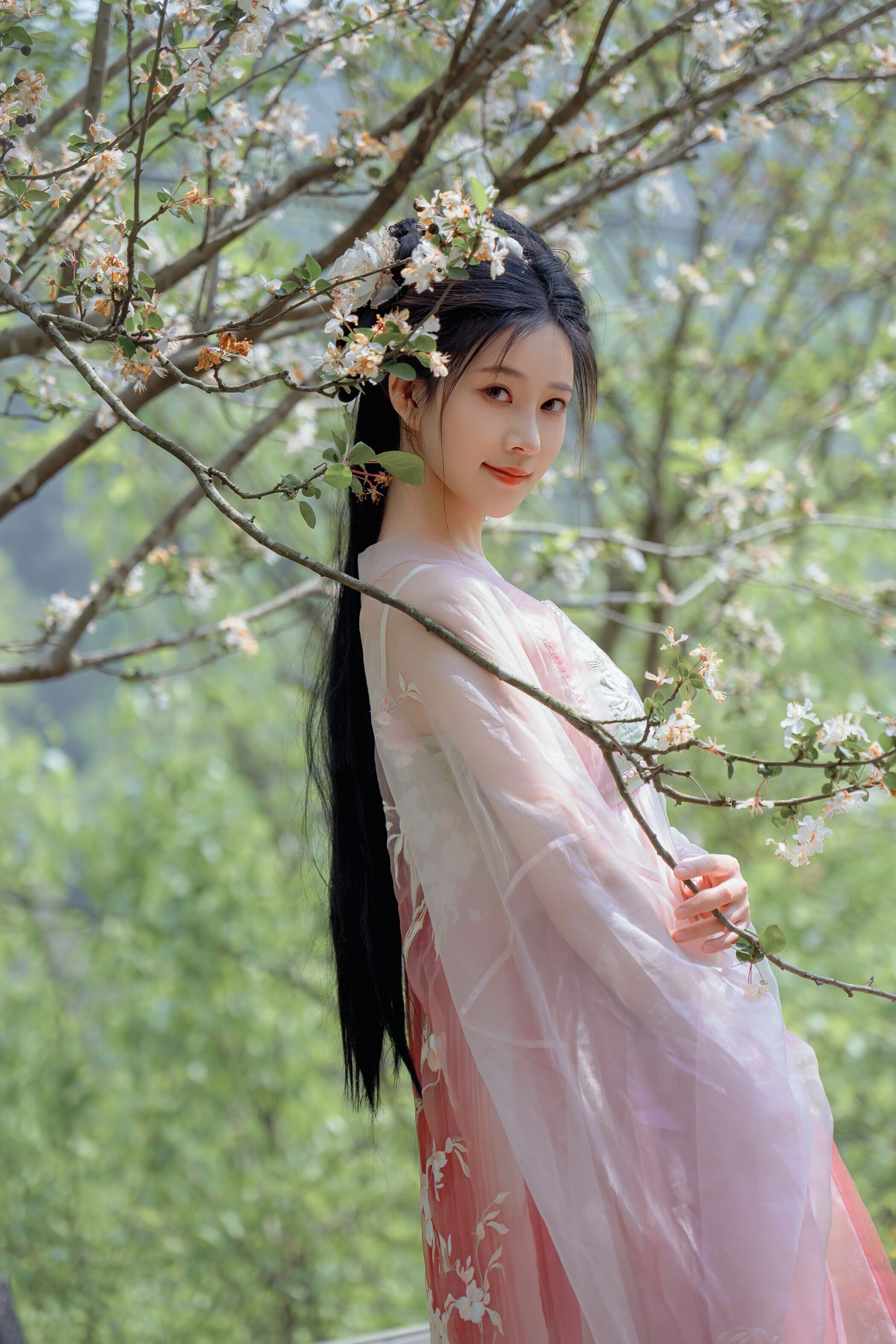 海棠仙，粉红海棠神仙美人