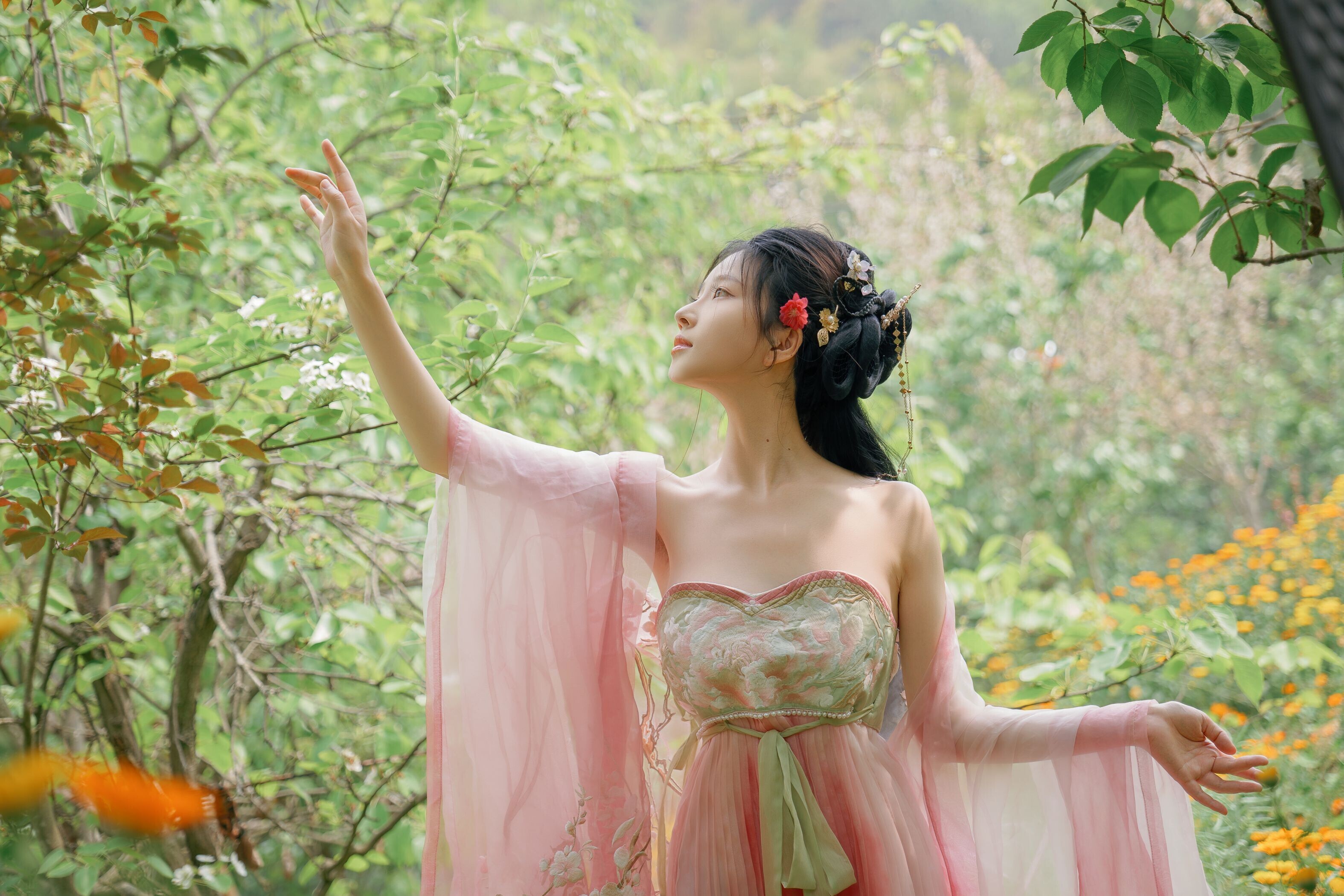 海棠仙，粉红海棠神仙美人