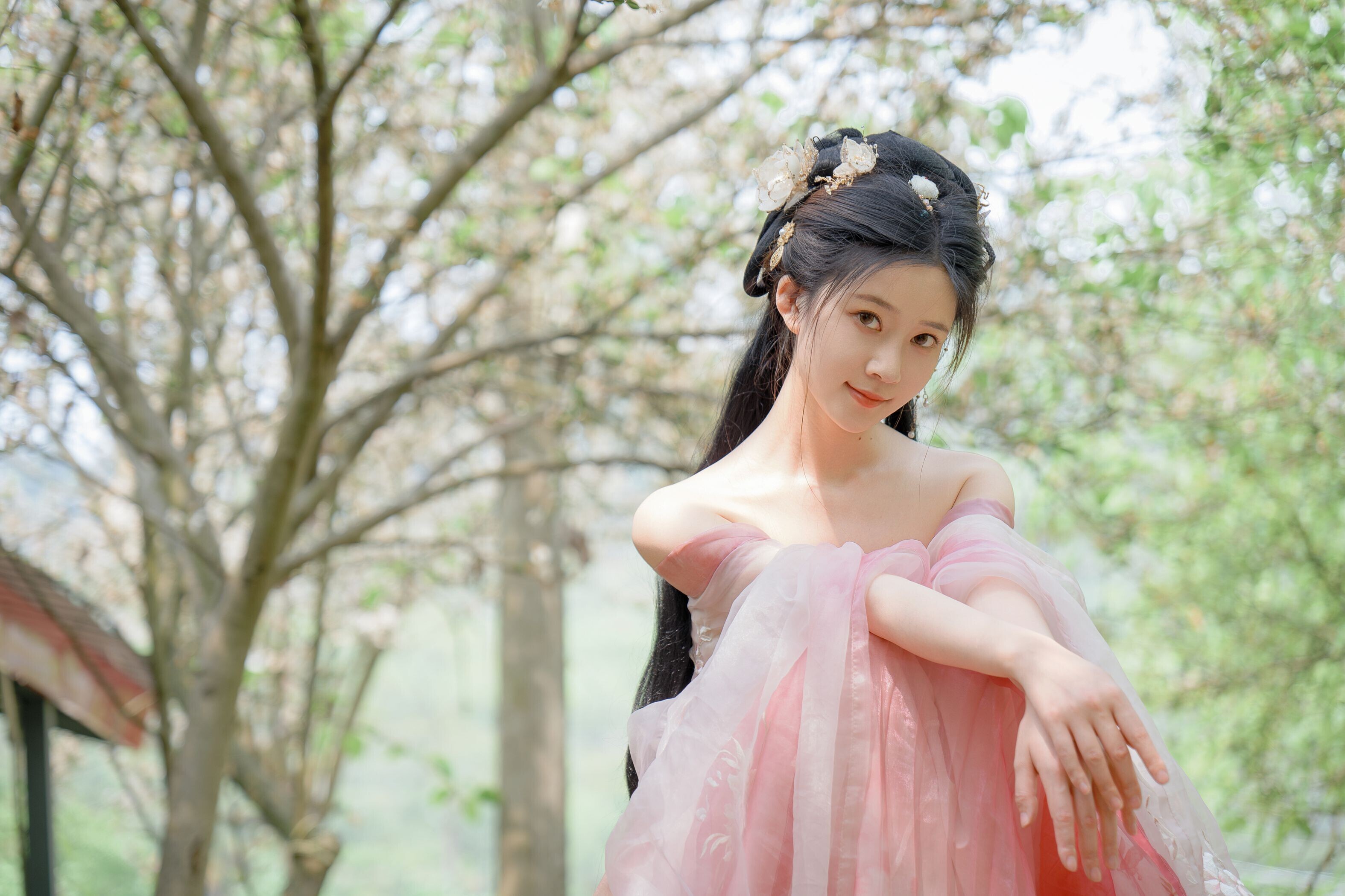 海棠仙，粉红海棠神仙美人