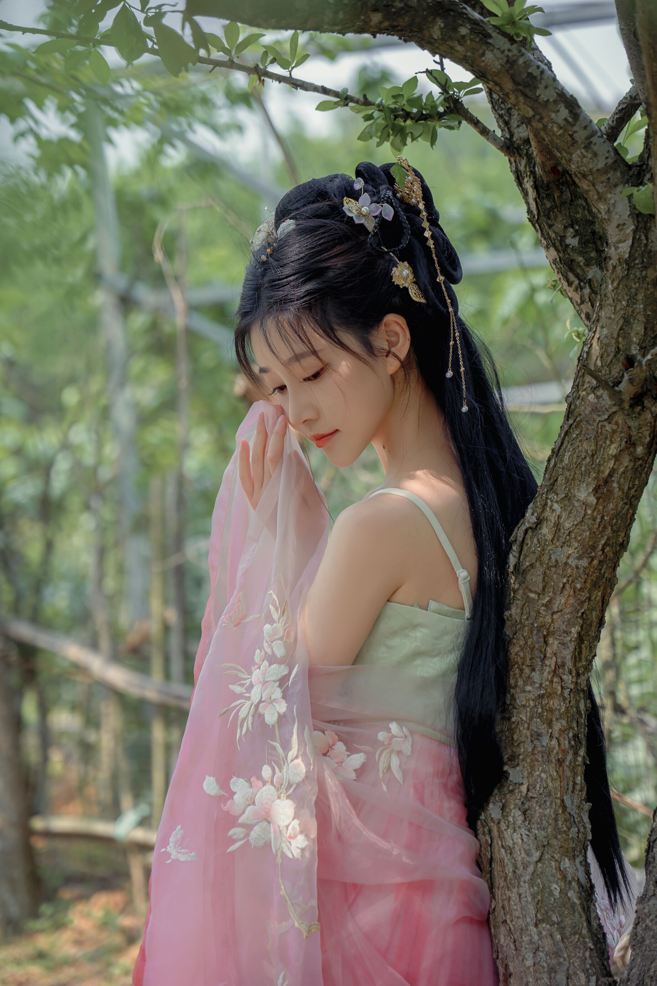 海棠仙，粉红海棠神仙美人