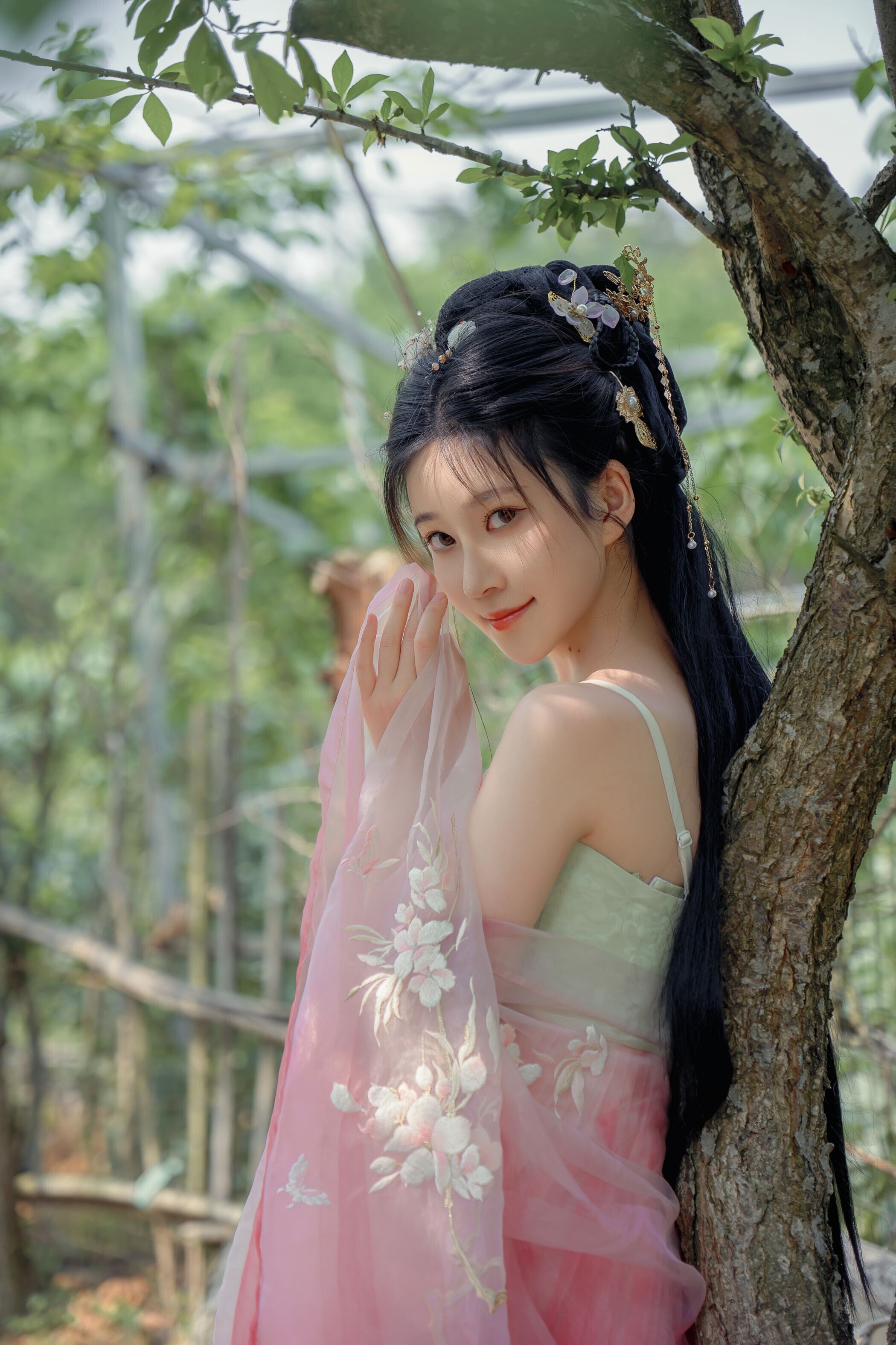 海棠仙，粉红海棠神仙美人