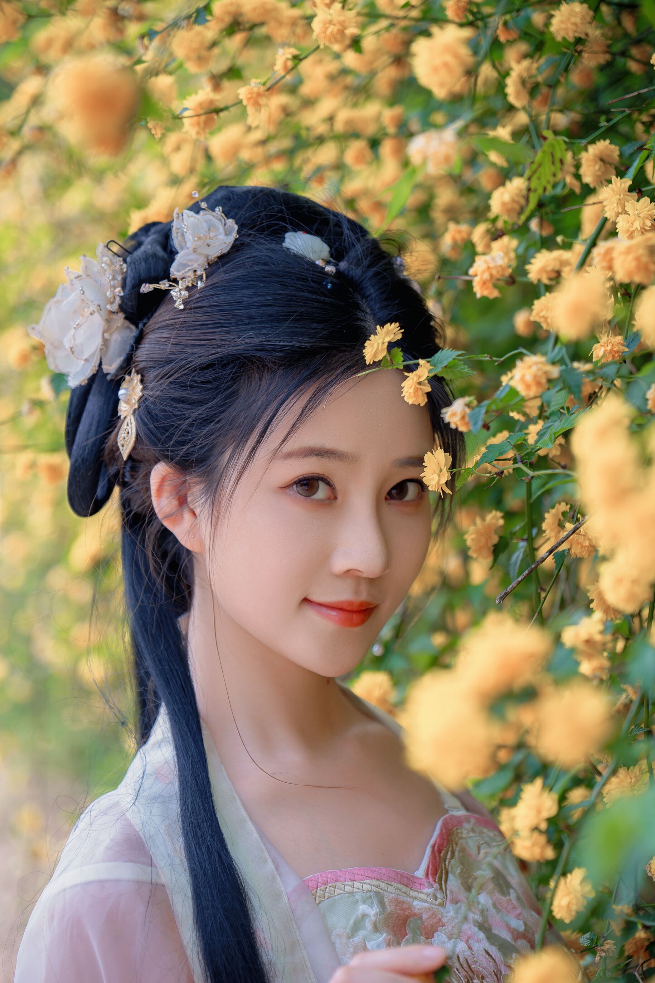 海棠仙，粉红海棠神仙美人