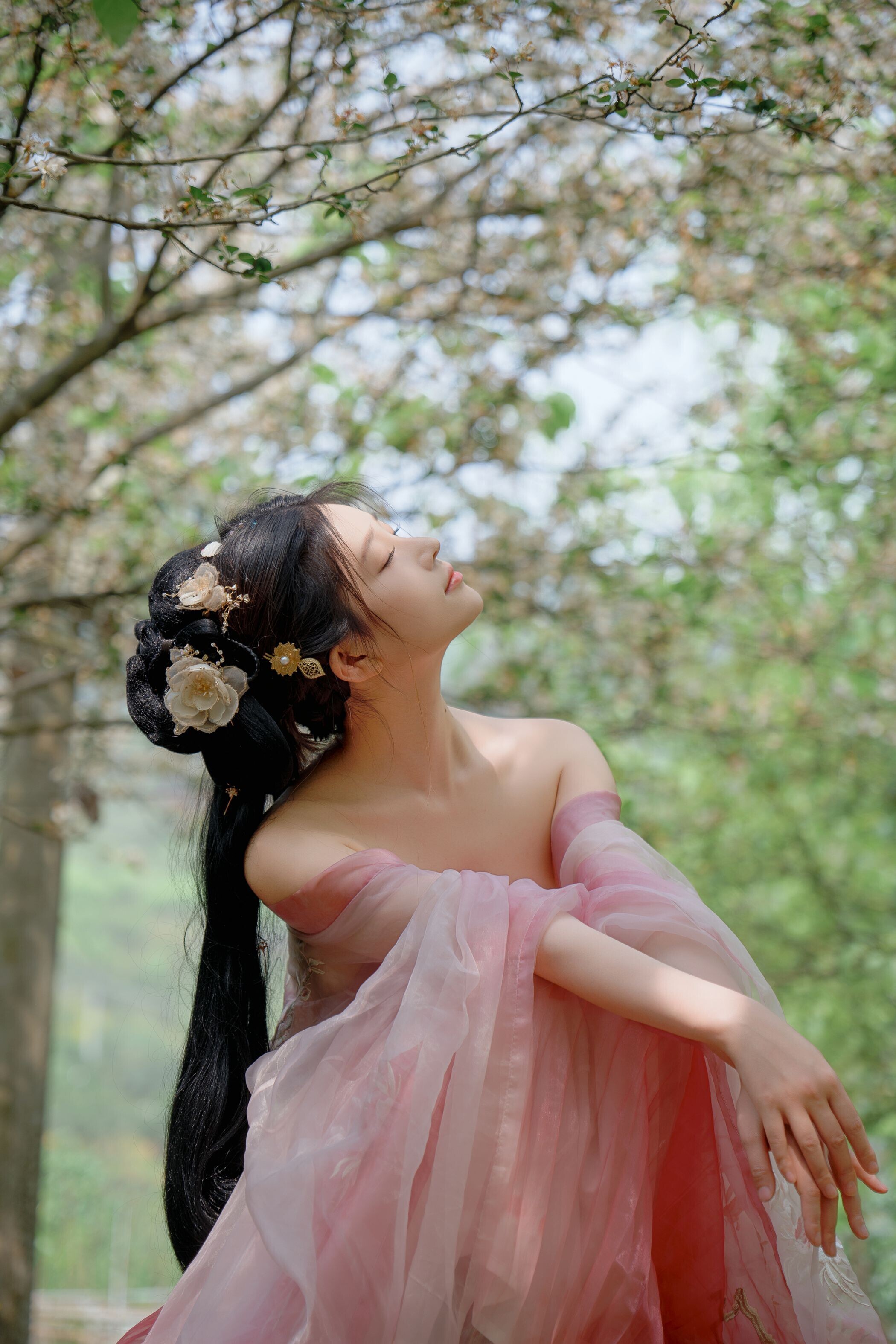 海棠仙，粉红海棠神仙美人