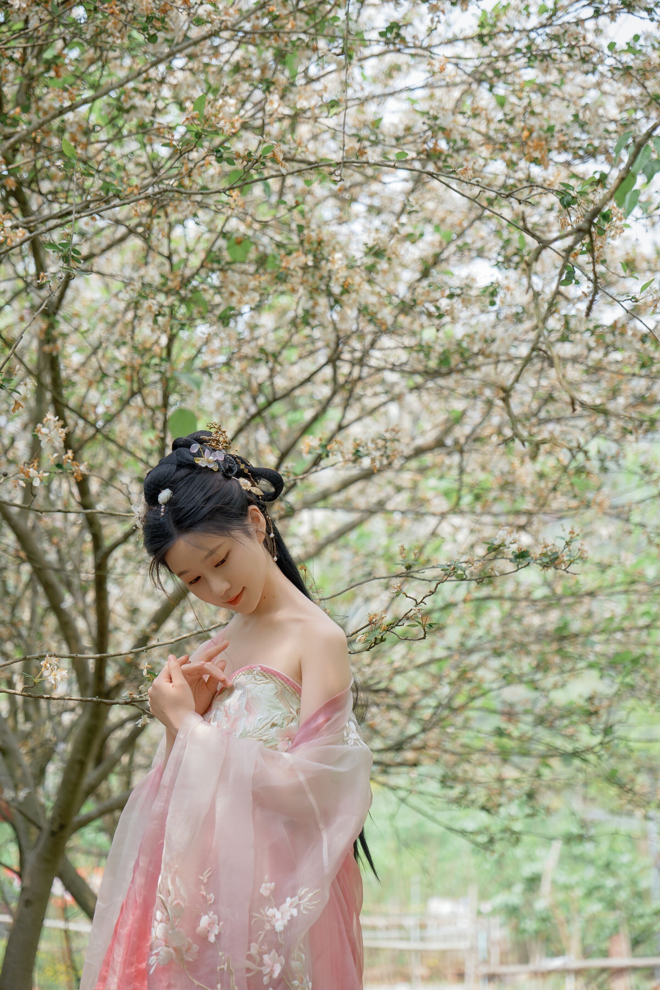 海棠仙，粉红海棠神仙美人