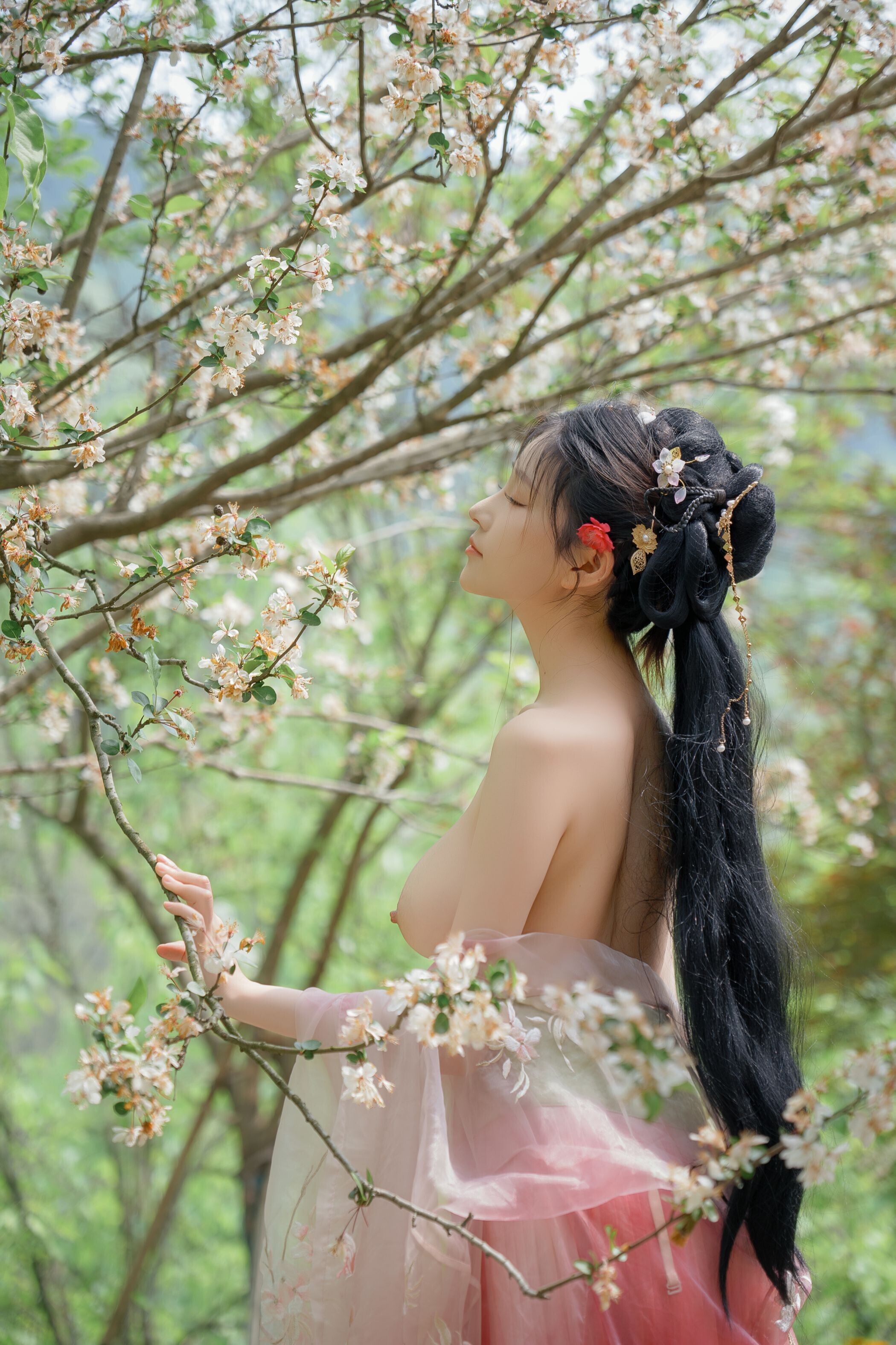 海棠仙，粉红海棠神仙美人