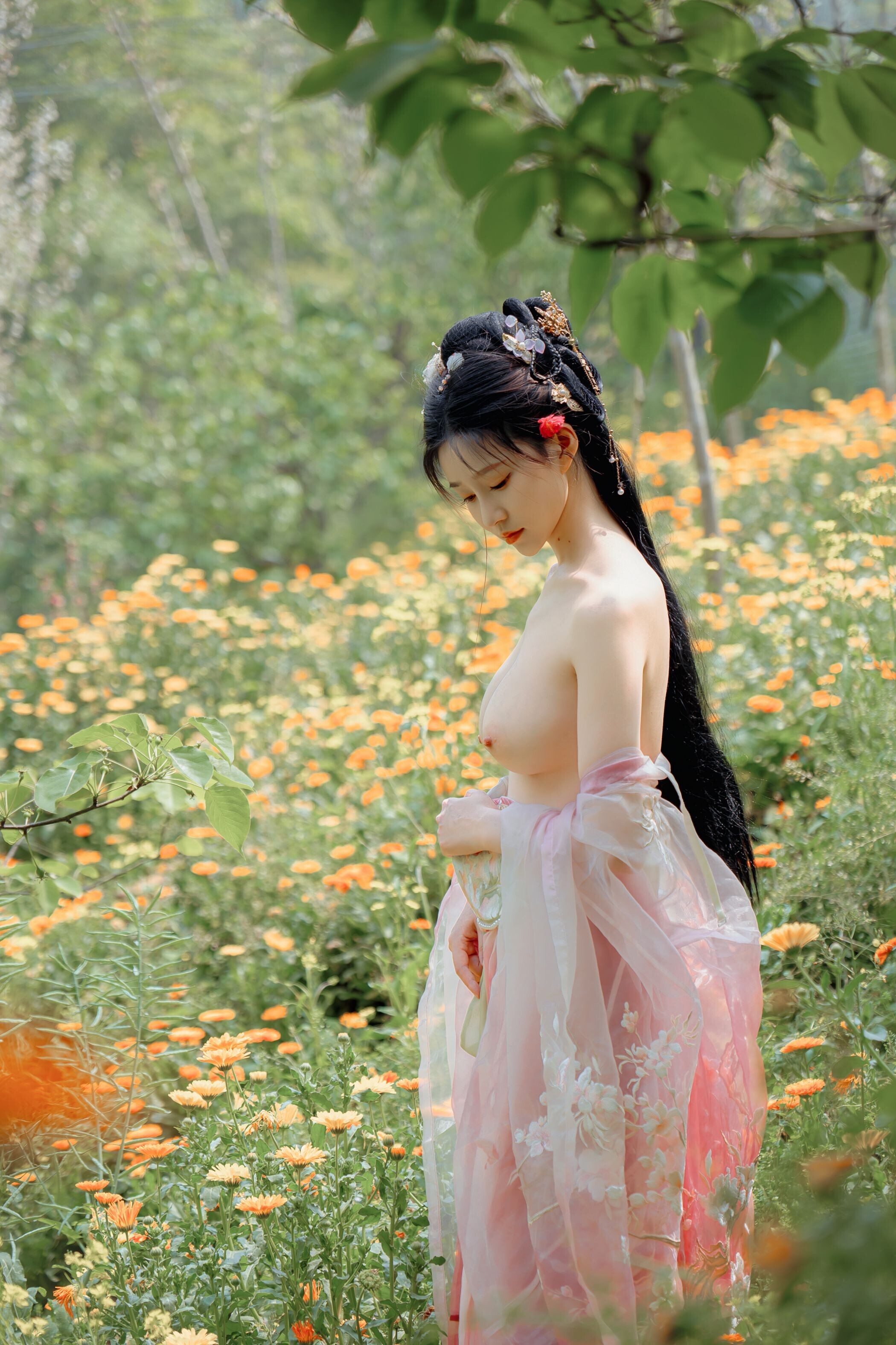 海棠仙，粉红海棠神仙美人
