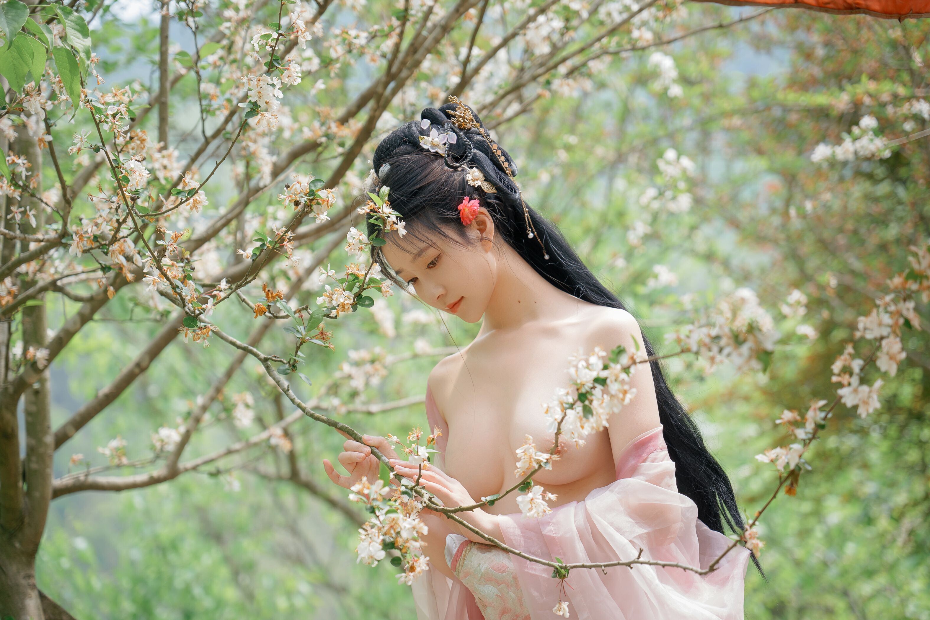 海棠仙，粉红海棠神仙美人