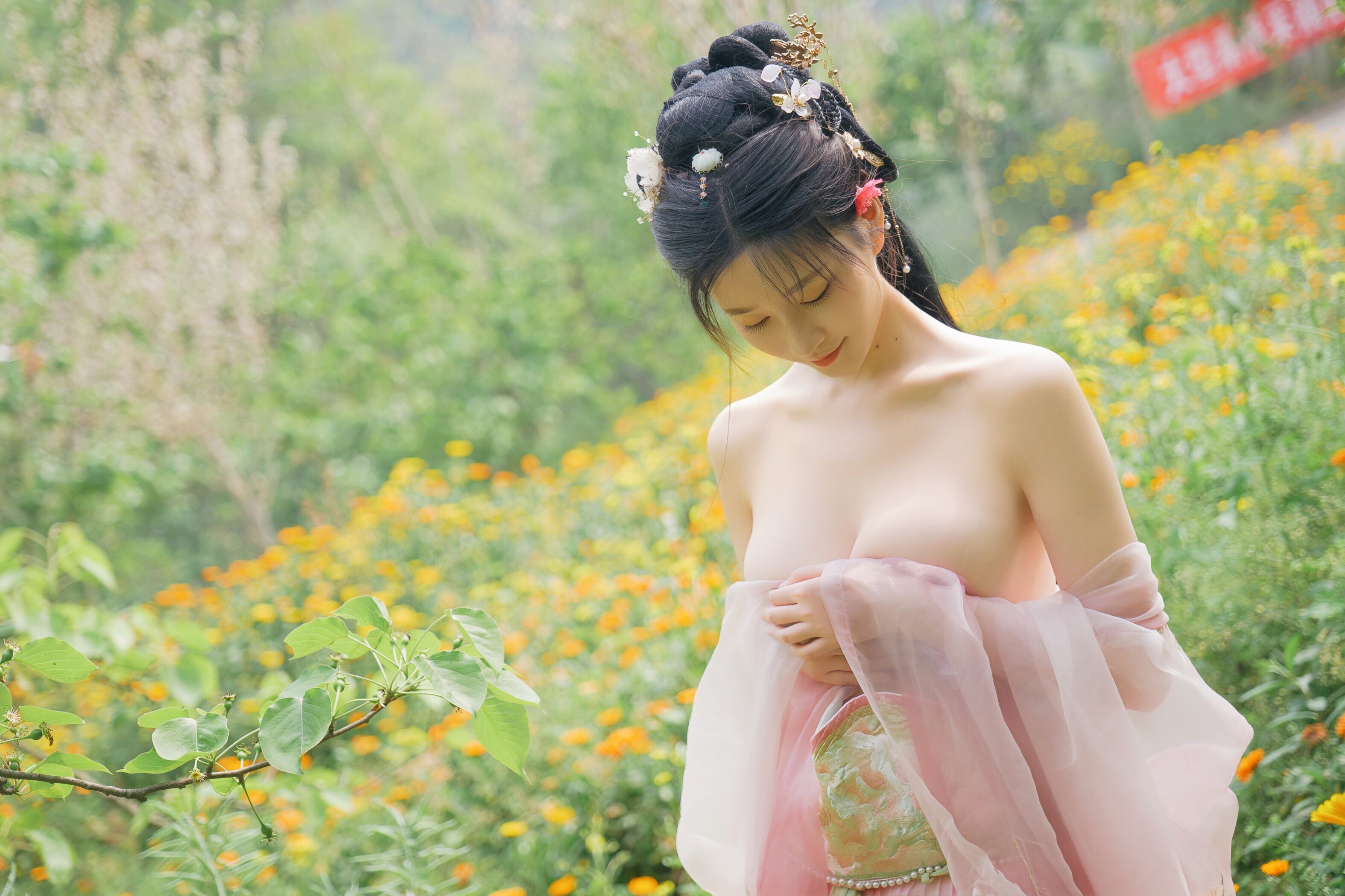 海棠仙，粉红海棠神仙美人