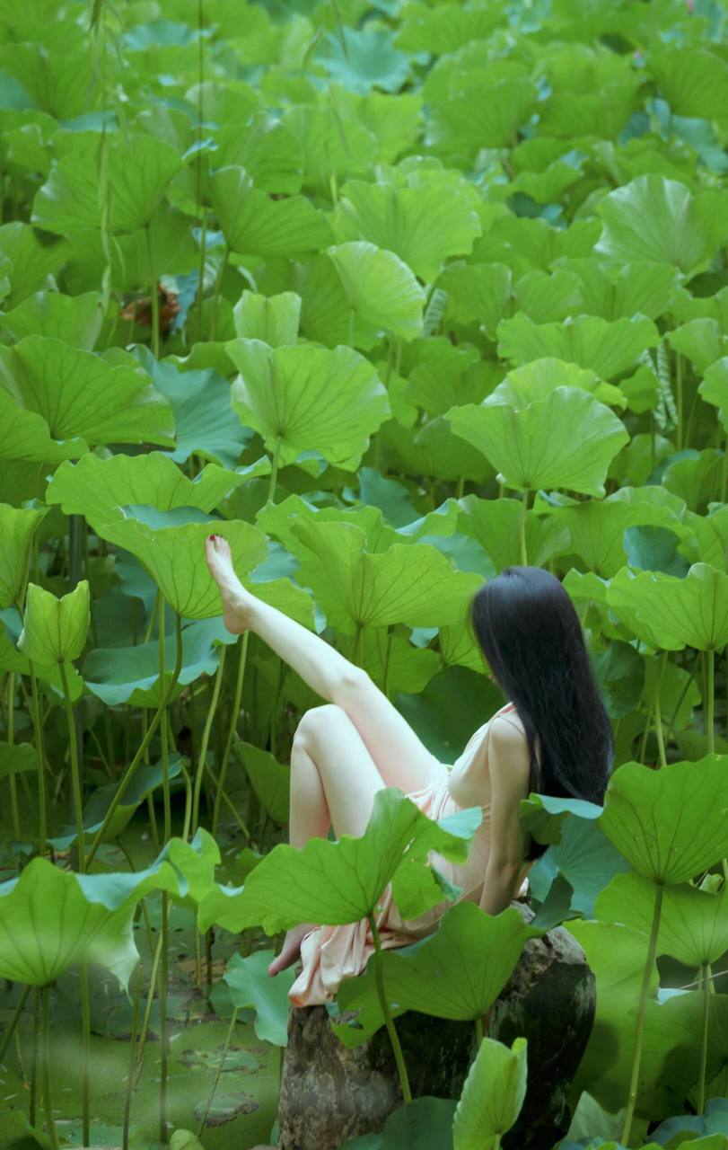 屏幕盯久了，看点绿色的养养眼